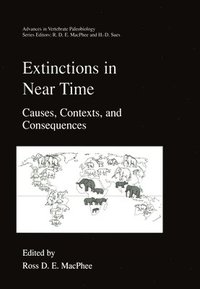 bokomslag Extinctions in Near Time