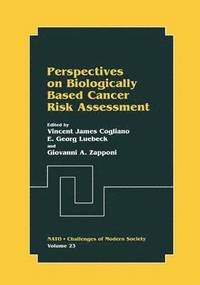 bokomslag Perspectives on Biologically Based Cancer Risk Assessment