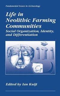bokomslag Life in Neolithic Farming Communities