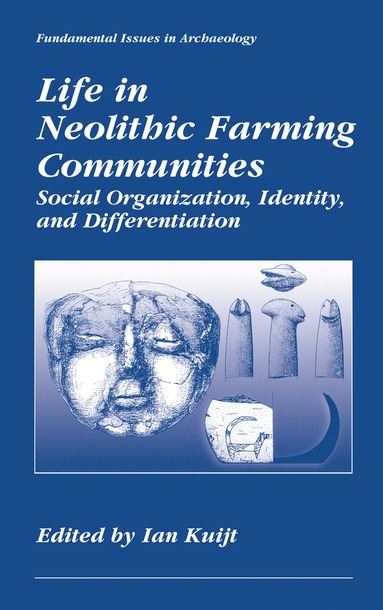 bokomslag Life in Neolithic Farming Communities