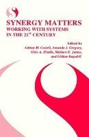 bokomslag Synergy Matters: Working with Systems in the 21st Century