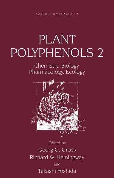 North American Tannin Conference, Georg G. Gross, Richard W. Hemingway, Takashi Yoshida - Plant Polyphenols 2, Inbunden