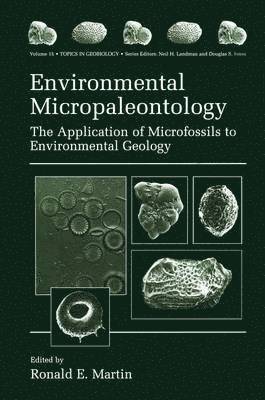 Environmental Micropaleontology 1