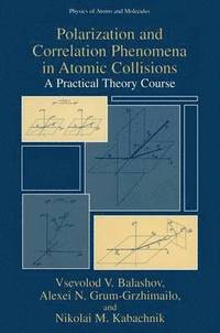bokomslag Polarization and Correlation Phenomena in Atomic Collisions