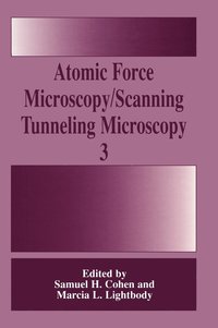 bokomslag Atomic Force Microscopy/Scanning Tunneling Microscopy 3