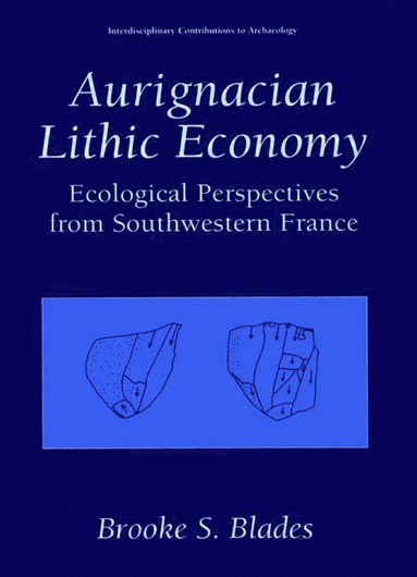 bokomslag Aurignacian Lithic Economy