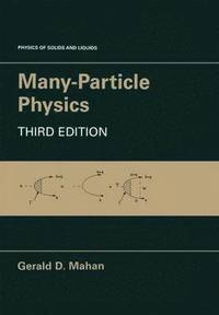 bokomslag Many-Particle Physics