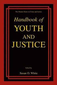 bokomslag Handbook of Youth and Justice