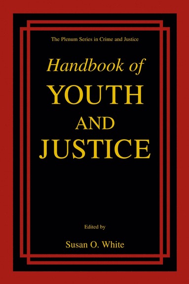 bokomslag Handbook of Youth and Justice