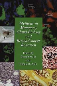bokomslag Methods in Mammary Gland Biology and Breast Cancer Research