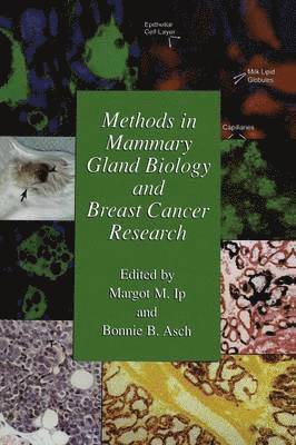 Methods in Mammary Gland Biology and Breast Cancer Research 1