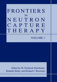 bokomslag Frontiers in Neutron Capture Therapy