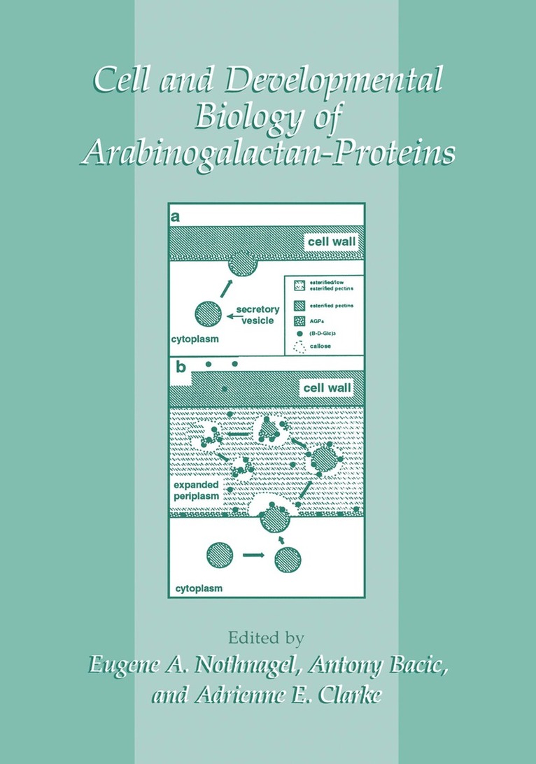 Eugene A. Nothnagel, Antony Bacic, A.E. Clarke, Eugene A Nothnagel, A E Clarke - Cell and Developmental Biology of Arabinogalactan-Proteins, Inbunden