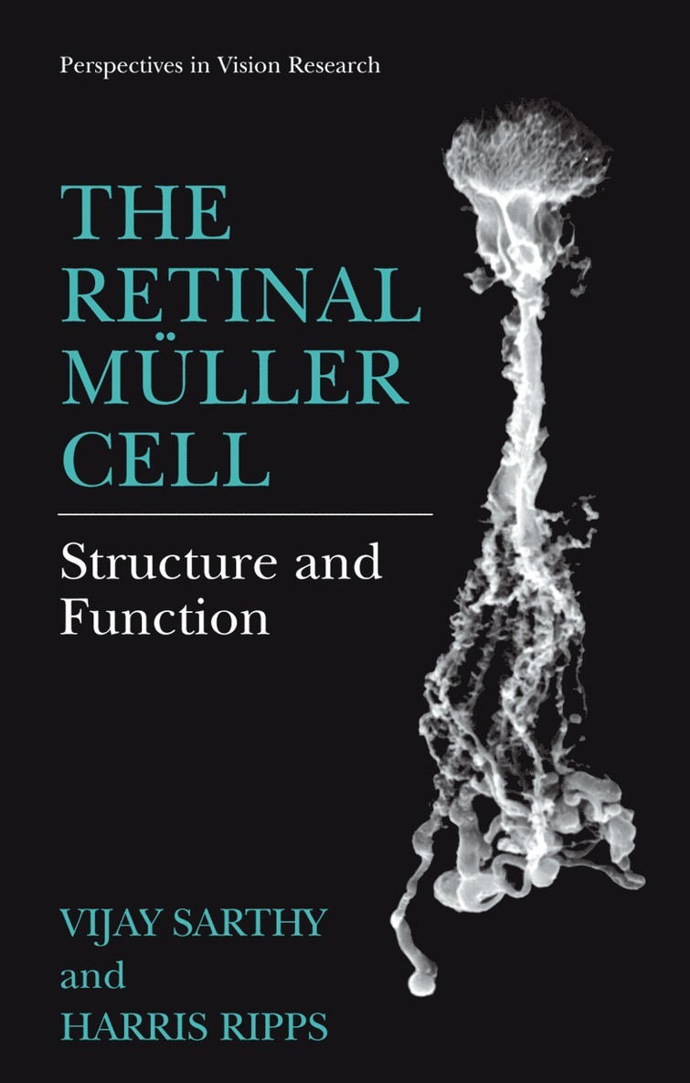 The Retinal Mller Cell 1