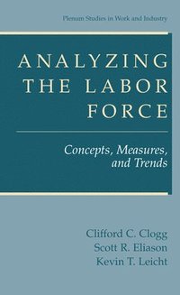 bokomslag Analyzing the Labor Force