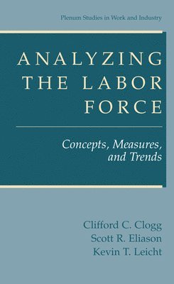 bokomslag Analyzing the Labor Force