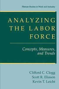 bokomslag Analyzing the Labor Force