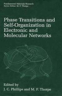 bokomslag Phase Transitions and Self-Organization in Electronic and Molecular Networks