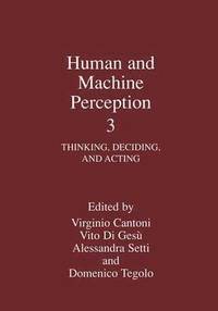 bokomslag Human and Machine Perception 3