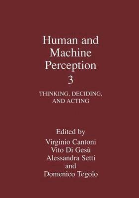 bokomslag Human and Machine Perception 3