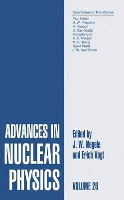 bokomslag Advances in Nuclear Physics