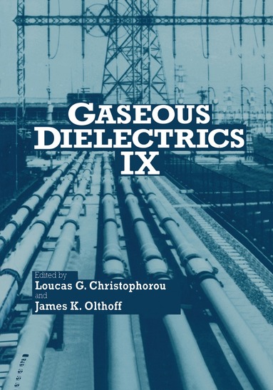Loucas G. Christophorou, James K. Olthoff - Gaseous Dielectrics IX, Inbunden