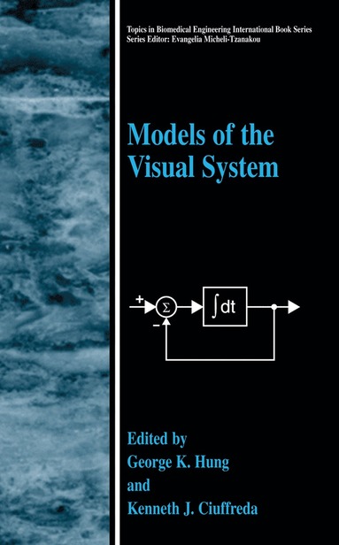 bokomslag Models of the Visual System