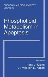 bokomslag Phospholipid Metabolism in Apoptosis