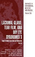 bokomslag Lacrimal Gland, Tear Film, and Dry Eye Syndromes 3