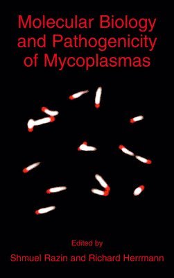 bokomslag Molecular Biology and Pathogenicity of Mycoplasmas