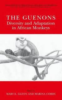 bokomslag The Guenons: Diversity and Adaptation in African Monkeys