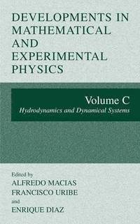 bokomslag Developments in Mathematical and Experimental Physics