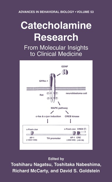 Toshiharu Nagatsu, Toshitaka Nabeshima, Toshiharu Nagatsu, Toshitaka Nabeshima, Richard McCarty, David S. Goldstein - Catecholamine Research, Inbunden