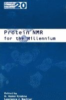 bokomslag Protein NMR for the Millennium