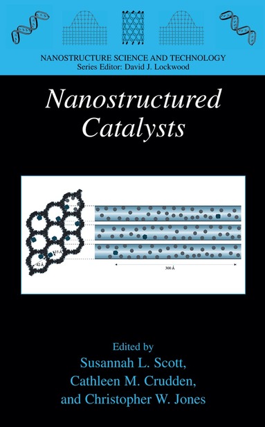 Susannah L. Scott, Cathleen M. Crudden, Christopher W. Jones - Nanostructured Catalysts, Inbunden