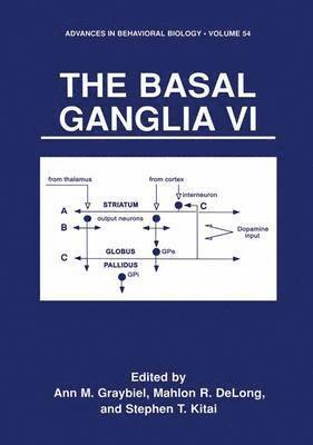 Ann M. Graybiel, Mahlon R. Delong, Stephen T. Kitai, Mahlon R. DeLong, Ann M Graybiel, Mahlon R DeLong, Stephen T Kitai - Basal Ganglia VI, Inbunden