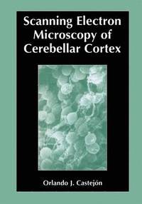 bokomslag Scanning Electron Microscopy of Cerebellar Cortex