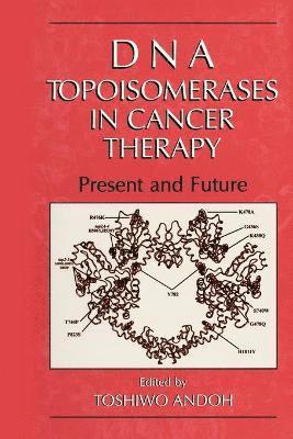 Toshiwo Andoh - DNA Topoisomerases in Cancer Therapy, Inbunden