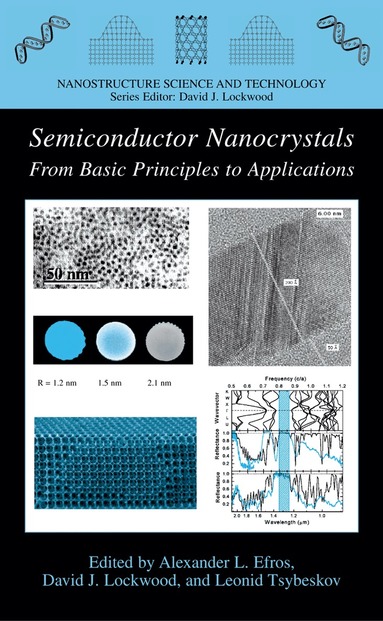 Alexander L. Efros, D.J. Lockwood, Leonid Tsybeskov - Semiconductor Nanocrystals, Inbunden