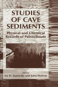 bokomslag Studies of Cave Sediments