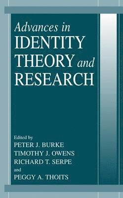 Advances in Identity Theory and Research 1