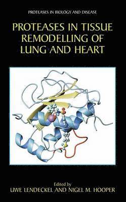 Uwe Lendeckel, Nigel M. Hooper - Proteases in Tissue Remodelling of Lung and Heart, Inbunden
