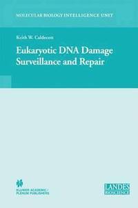 bokomslag Eukaryotic DNA Damage Surveillance and Repair