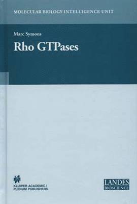 Rho GTPases 1