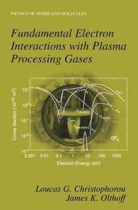 bokomslag Fundamental Electron Interactions with Plasma Processing Gases