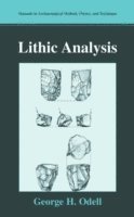 bokomslag Lithic Analysis