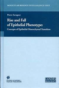 bokomslag Rise and Fall of Epithelial Phenotype