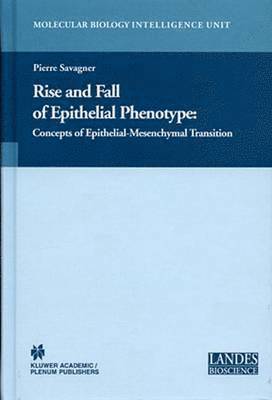 Rise and Fall of Epithelial Phenotype 1