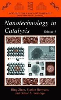 bokomslag Nanotechnology in Catalysis