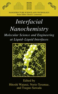 bokomslag Interfacial Nanochemistry